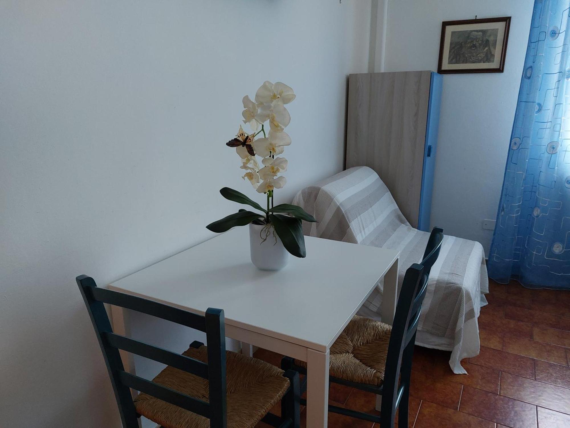 بيزا B&B Soleluna المظهر الخارجي الصورة