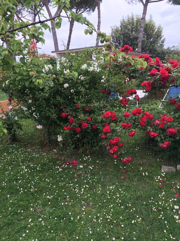 بيزا B&B Soleluna المظهر الخارجي الصورة