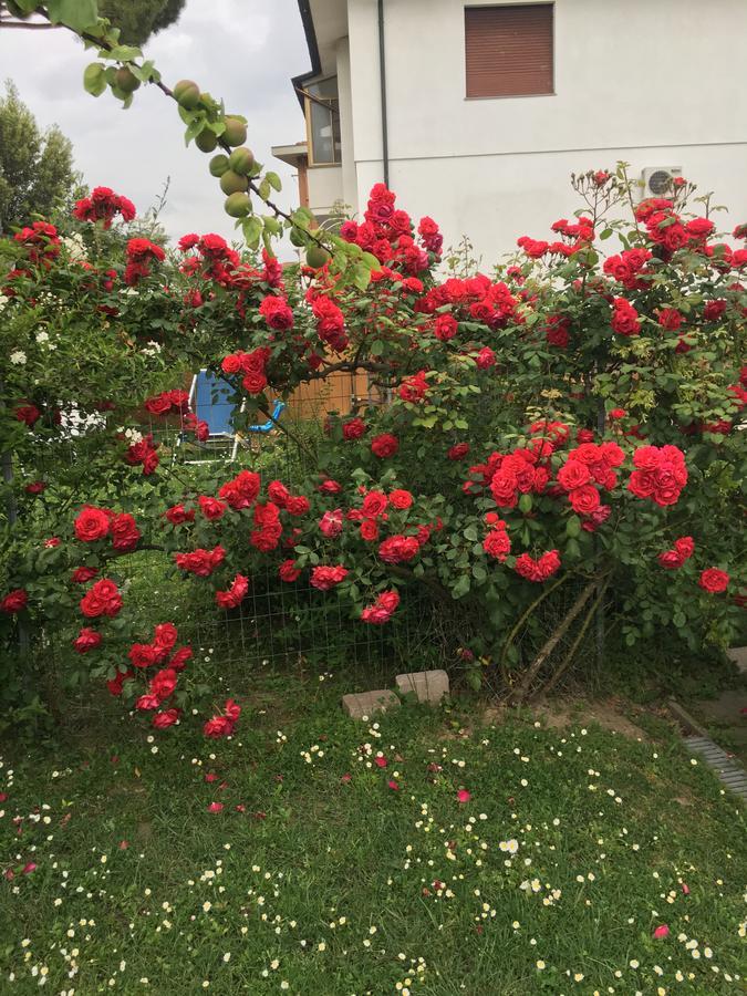 بيزا B&B Soleluna المظهر الخارجي الصورة